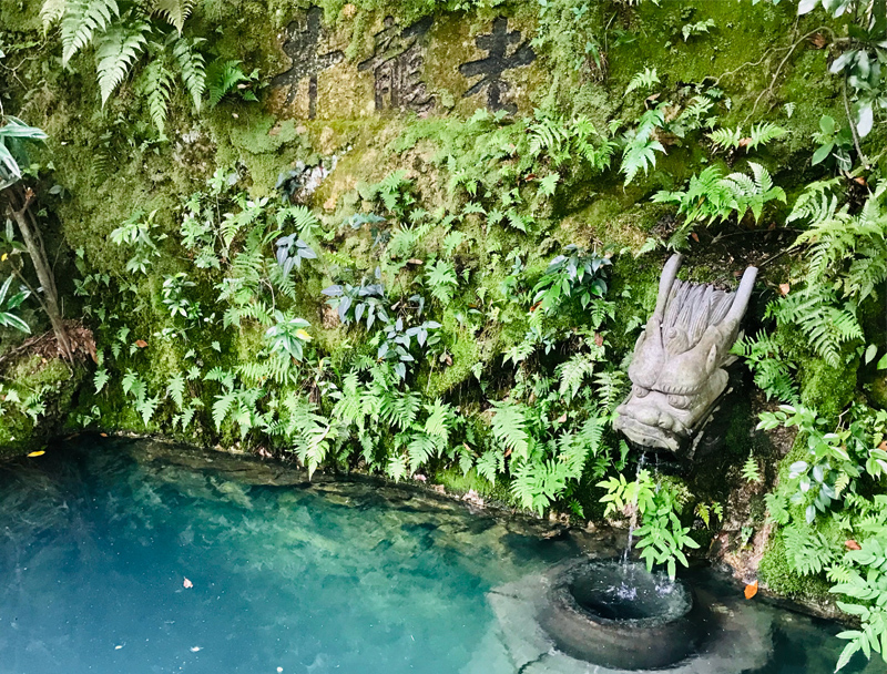 龍井茶的傳說(shuō) 西湖龍井的歷史由來(lái)-2