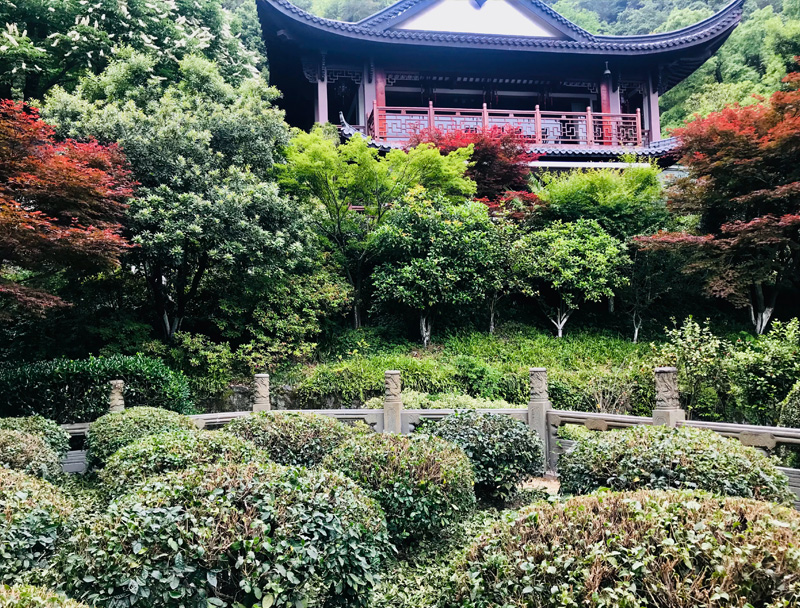 龍井茶的傳說(shuō) 西湖龍井的歷史由來(lái)-3