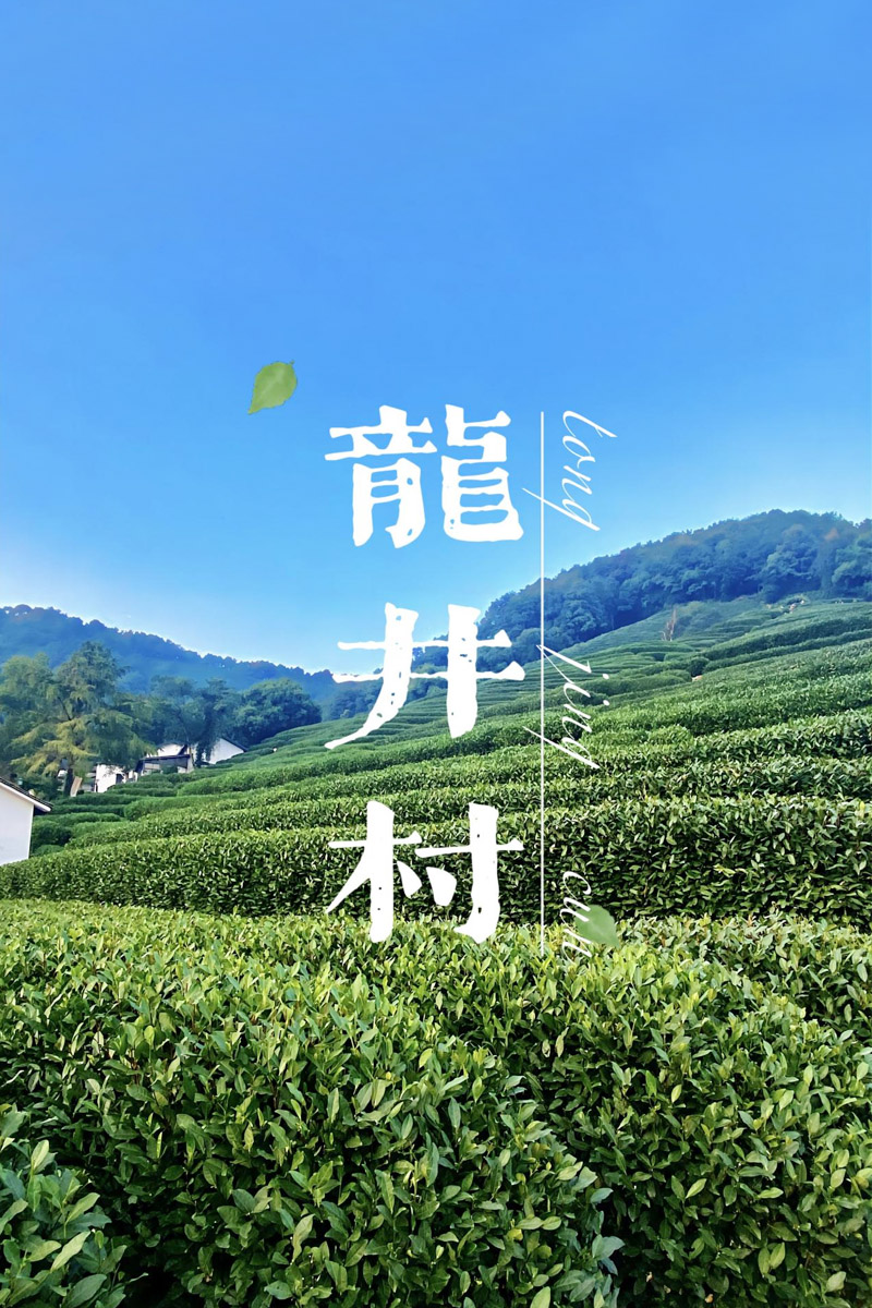 龍井茶的傳說(shuō) 西湖龍井的歷史由來(lái)-1