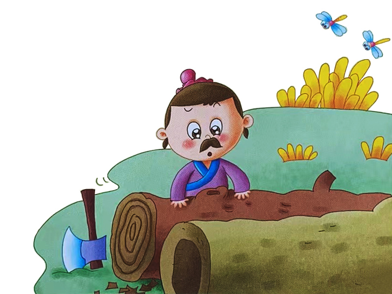 主人把兩棵樹(shù)砍了準(zhǔn)備蓋房子